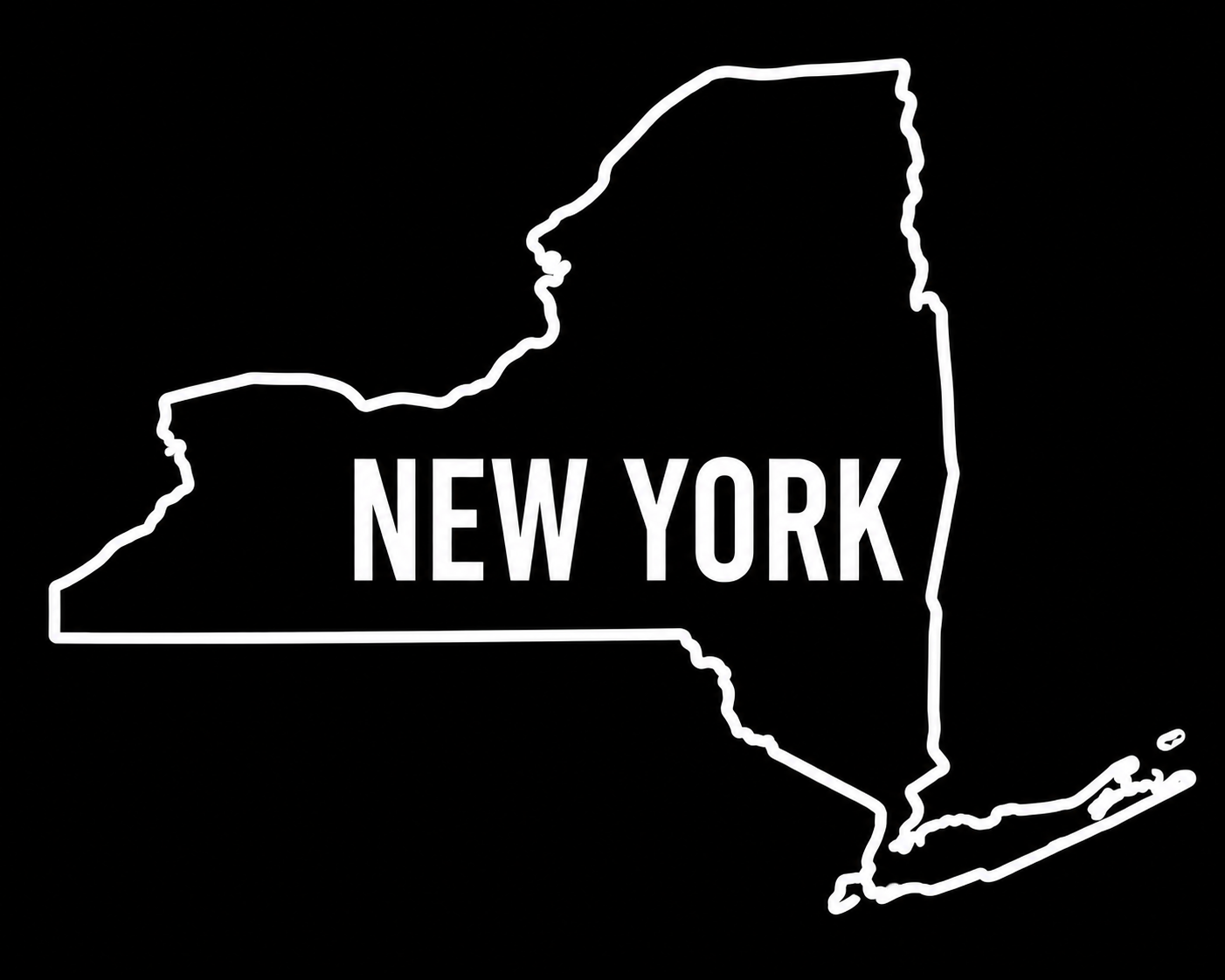 New York 2028 rankings