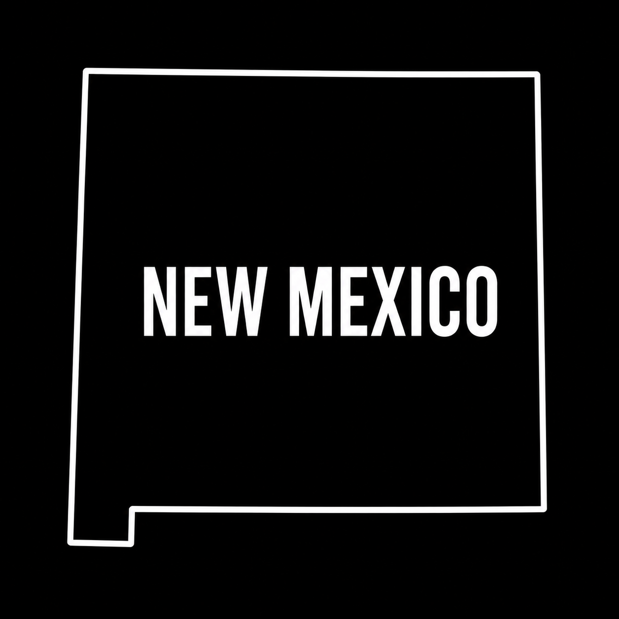 New Mexico 2028 rankings