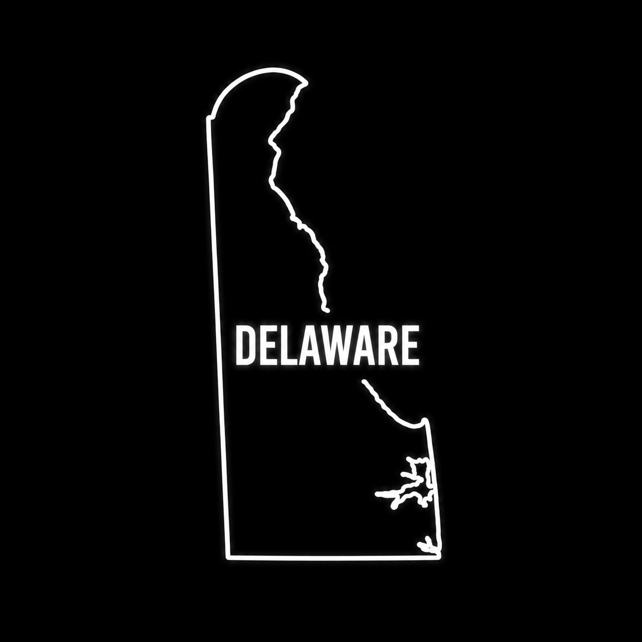Delaware 2028 rankings