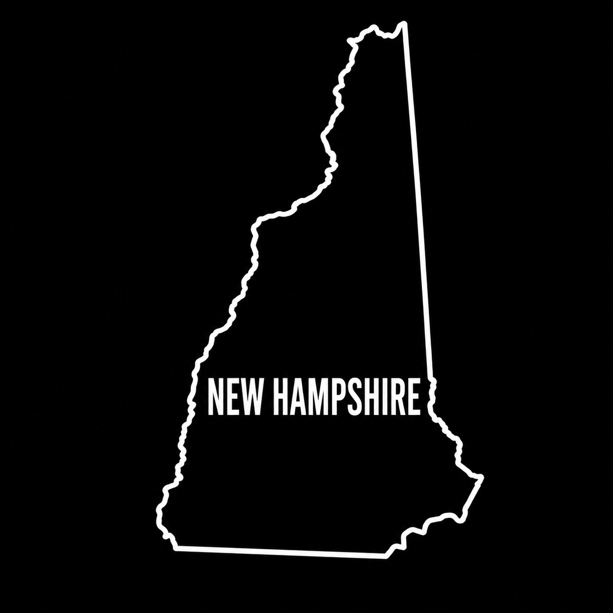 New Hampshire 2028 rankings